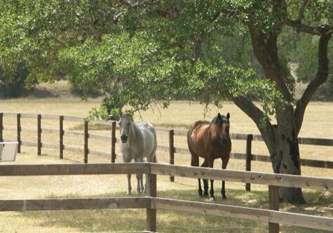 Wimberley Farm and Ranch